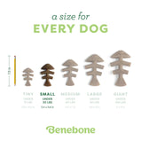 BENEBONE, Fishbone, Jouet à mâcher en nylon, Saumon, Pour chien, Paquet de 2