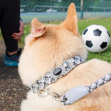 Coastal Styles collier tressé Pro Active réfléchissant ajustable pour chien