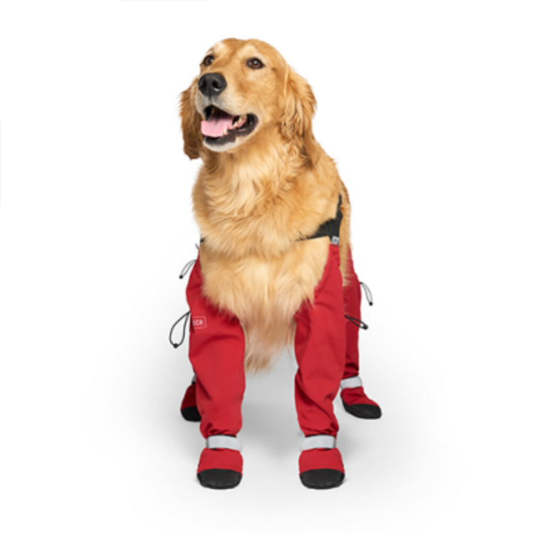 CANADA POOCH, Bottes à bretelles pour chien