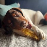 MIGHTY MARROW, Bâtonnet dentaire au collagène, Porc et persil, Pour chien
