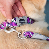 Coastal Styles collier tressé Pro Active réfléchissant ajustable pour chien