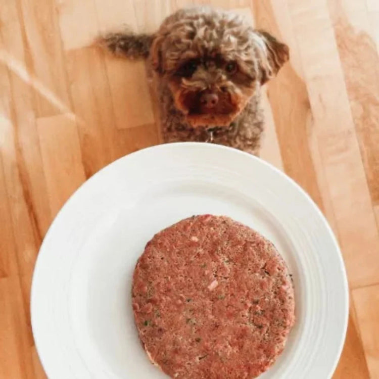 FAIM MUSEAU, Nourriture crue, Canard et agneau, Pour Chien