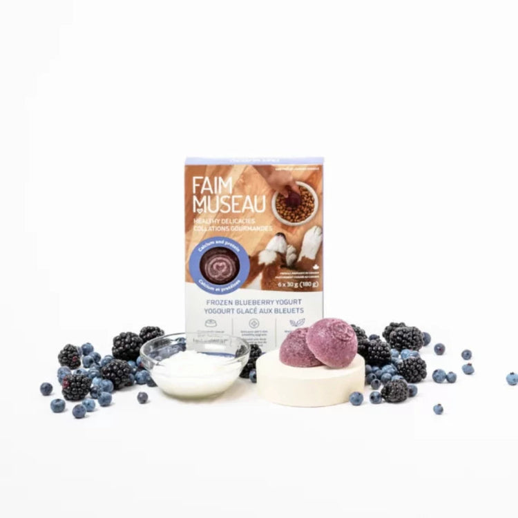 FAIM MUSEAU, Collation gourmande, Yogourt glacé aux bleuets, Pour chien, 180g