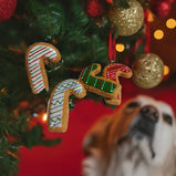 MIOUF biscuit pour chien, Canne de Noël