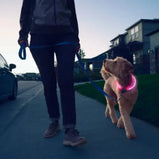 NITE IZE, NiteHowl, Collier de sécurité au LED rechargeable, Rose, Pour chien