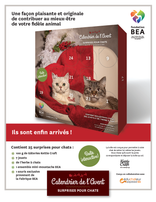 FONDATION BEA, Calendrier de l'Avent pour chat