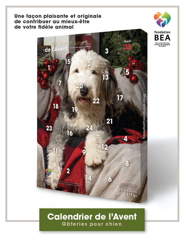 FONDATION BEA, Calendrier de l'Avent pour chien