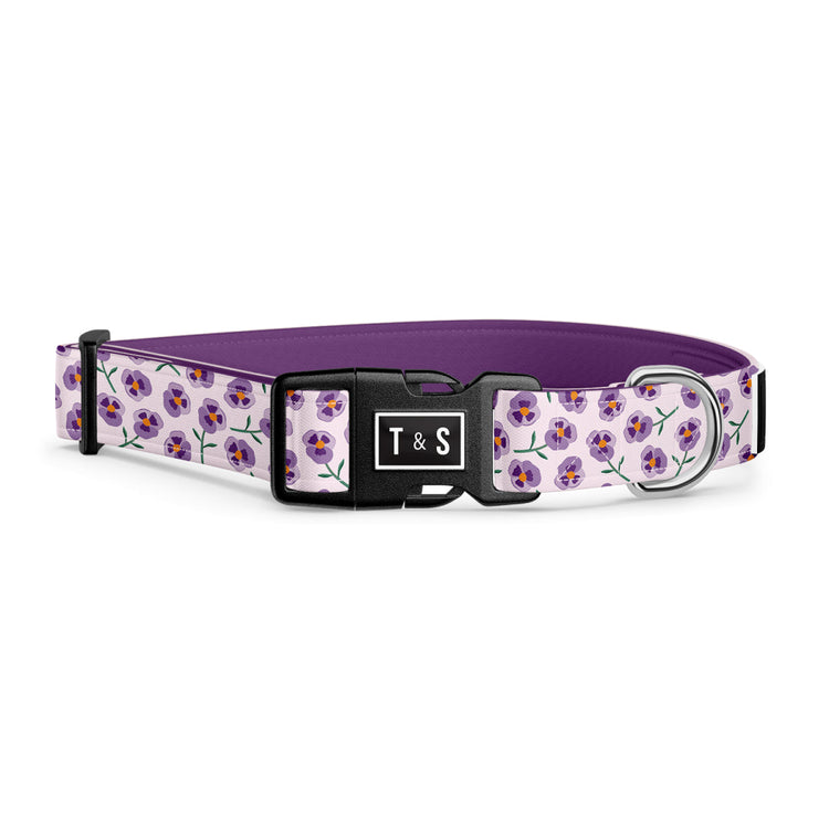 TELLA & STELLA, Collier pour chien Violette