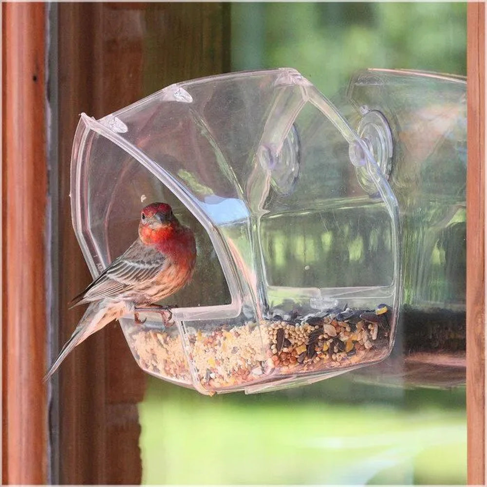 PERKY-PET Window, mangeoire à fenêtre pour oiseaux d'extérieur – MEUNERIE  DALPHOND