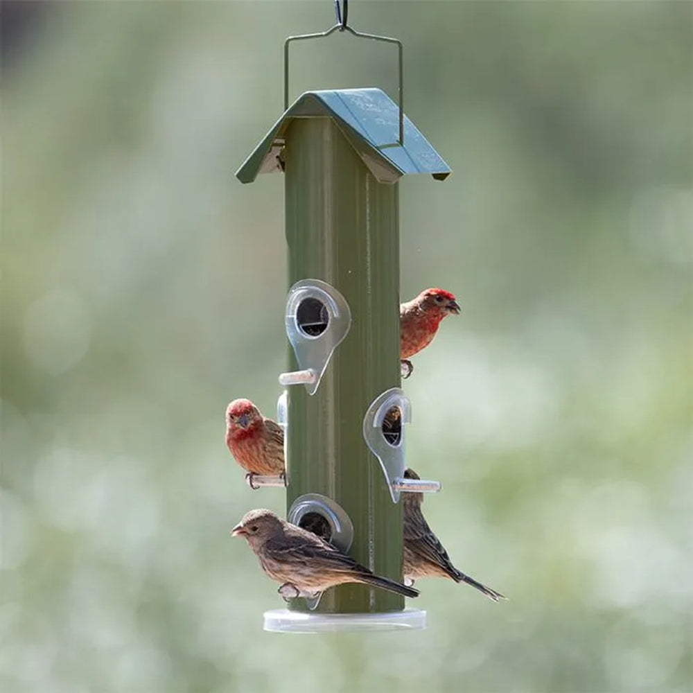 PERKY-PET Panorama, mangeoire pour oiseaux d'extérieur – MEUNERIE