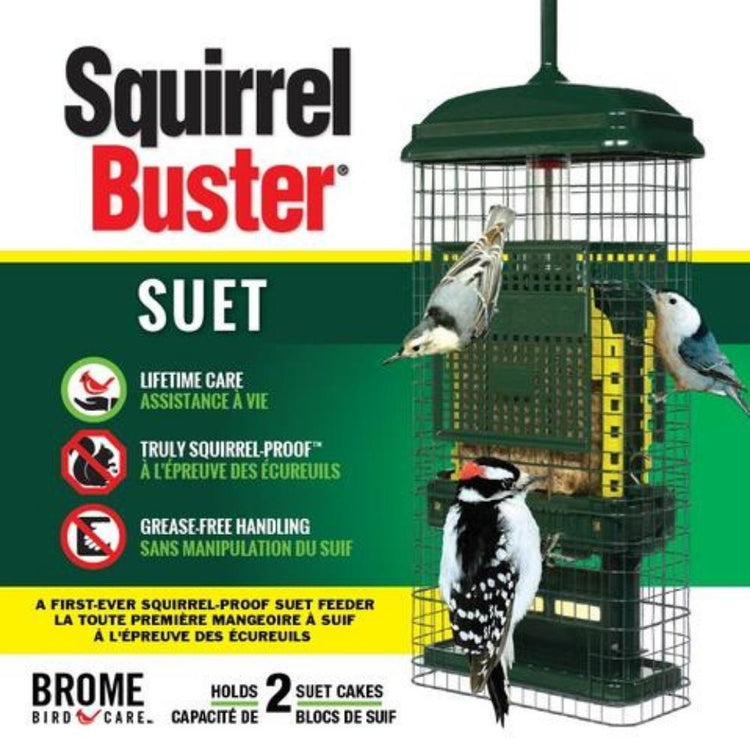 Squirrel Buster Standard, mangeoire pour oiseaux d'extérieur – MEUNERIE  DALPHOND