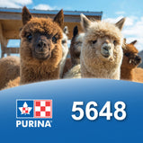 PURINA Alpaga Maintenance - SUR COMMANDE
