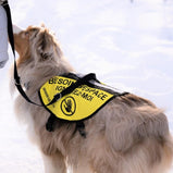 BELI Concept Canin - Dossard d'entraînement