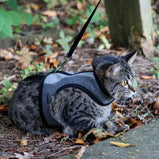 Coastal Adjustable Cat Wrap Harness, harnais ajustable pour chat