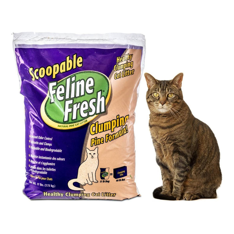 Feline Fresh litière de pin agglomérante pour chat
