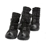 GF PET, Bottes Elasto-fit, Noire, Pour chien