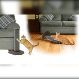Omega Paw Grattoir horizontal, tapis à griffer pour chat