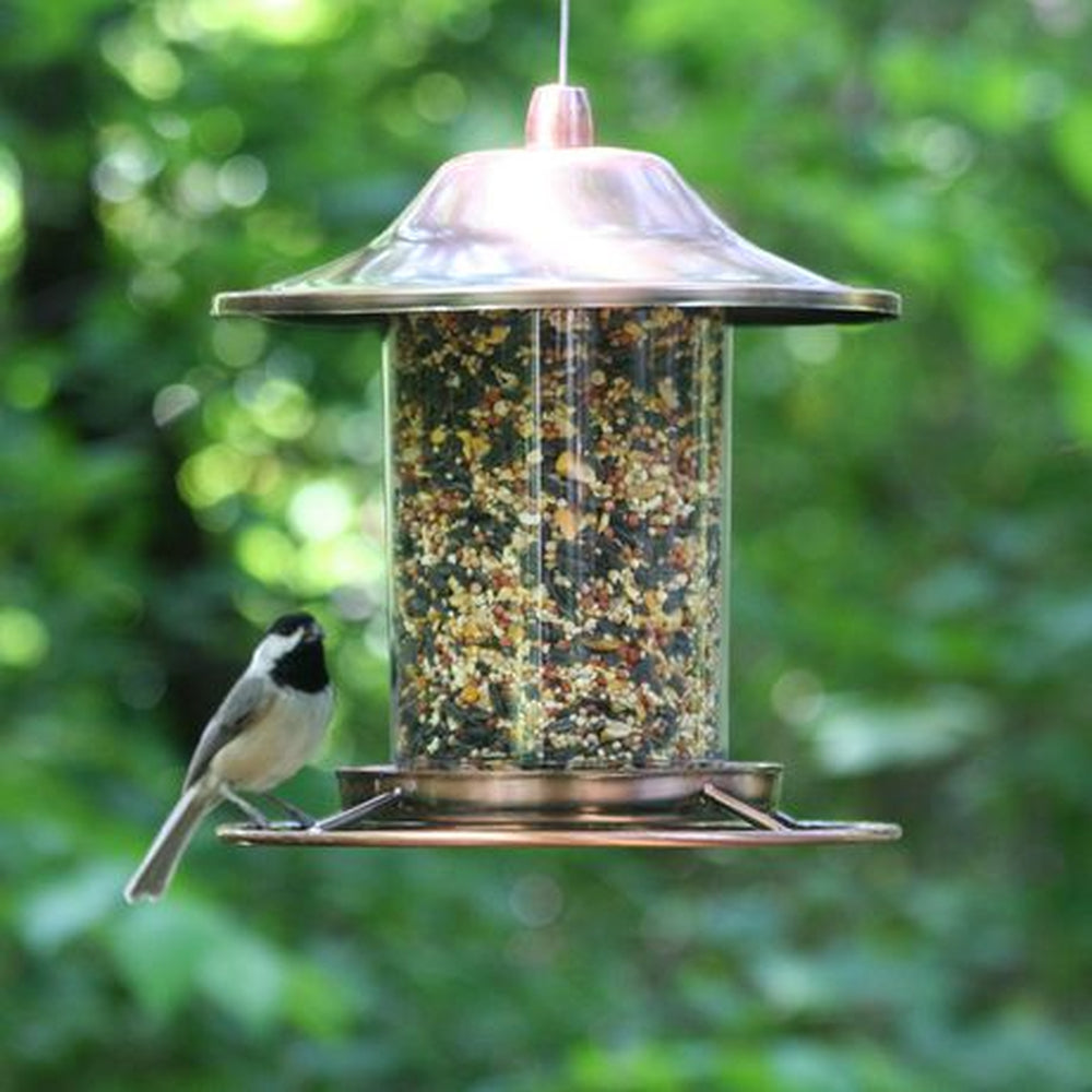 Squirrel Buster Nut Feeder, mangeoire pour oiseaux d'extérieur – MEUNERIE  DALPHOND