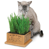 PIONEER PET, SmartCat, Kitty's Garden, Jardin d'herbes fraîches (à faire pousser), Pour chat