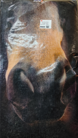 PURINA Oleo Spécial nourriture pour cheval
