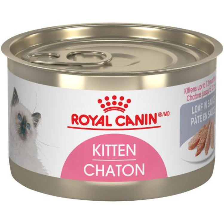 ROYAL CANIN Chaton nourriture pour chat au porc et poulet