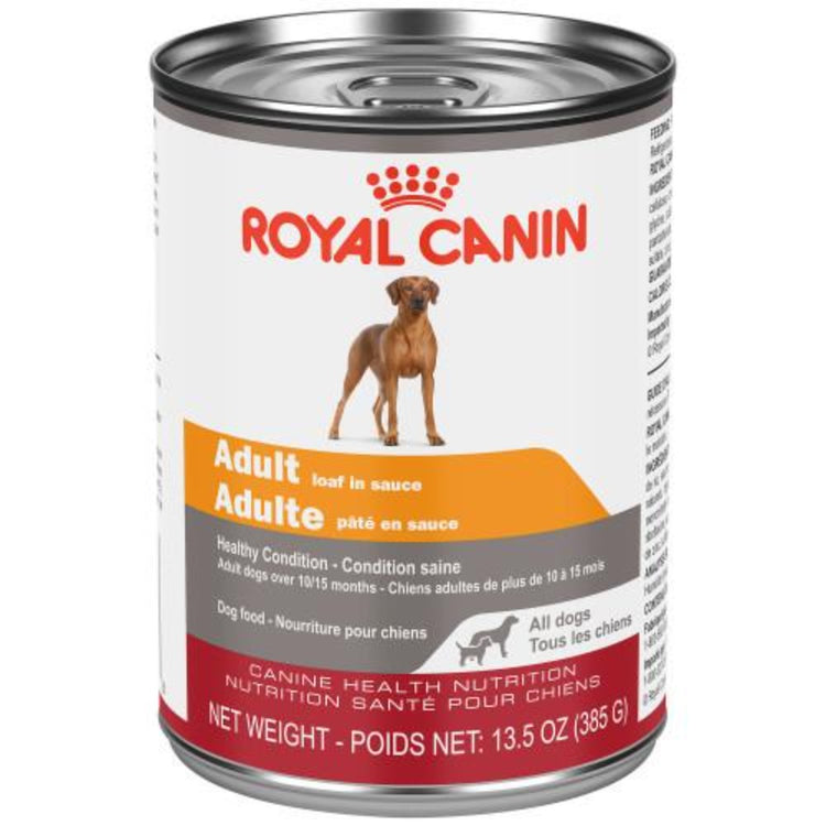 ROYAL CANIN Adulte nourriture pour chien au poulet et porc