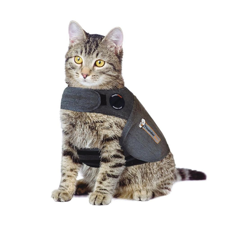 THUNDERWORKS, ThunderShirt, Chandail apaisant contre l'anxiété, Pour chat